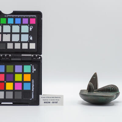 calco fegato 00197 photo