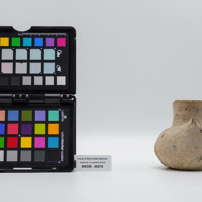 vaso a foggia di anatra 00210 photo