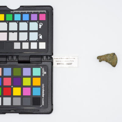 pendaglio 00237 photo