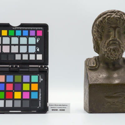 calco Asclepio 00260 photo