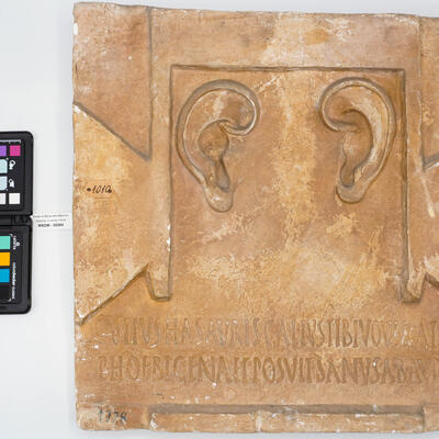 calco bassorilievo 00264 photo