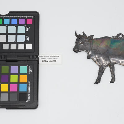 ex voto mucca 00269 photo