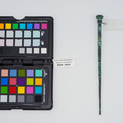 punteruolo romano 00314 photo