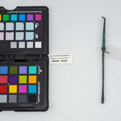 auriscalpium romano 00329 photo