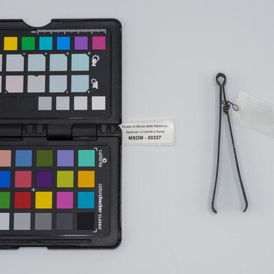 vulsella romana 00337 photo