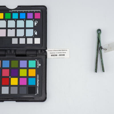 vulsella romana 00338 photo