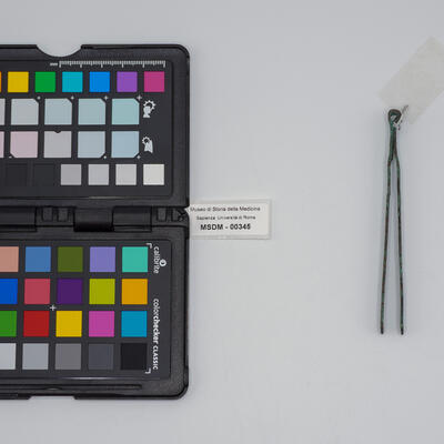 vulsella romana 00345 photo