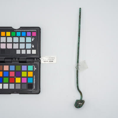 cauterio piatto 00348 photo