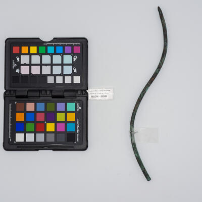 fistula aenea 00349 photo