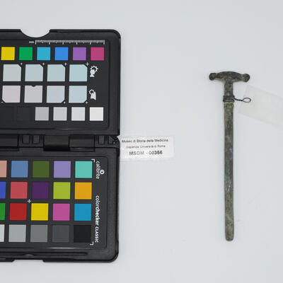 cannula semplice 00356 photo