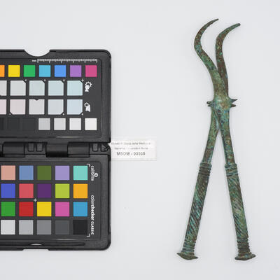 forcipe ercolanense 00365 photo