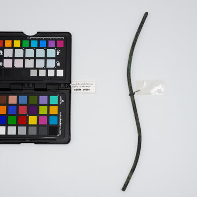 catetere urinario 00369 photo