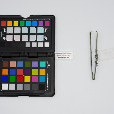 pinza vulsella 00389 photo