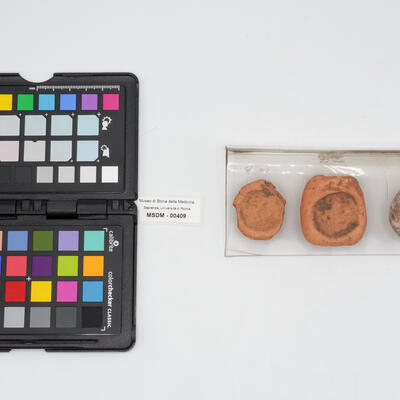 discoide 00409 photo