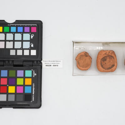 discoide 00410 photo