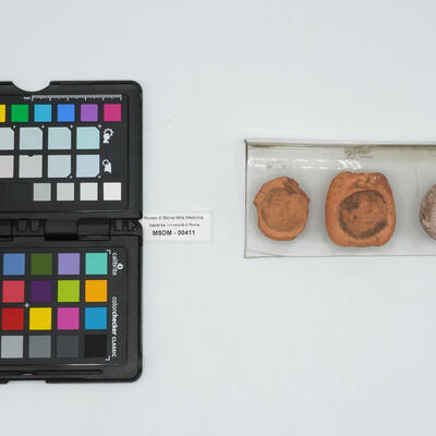 discoide 00411 photo