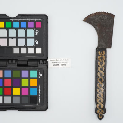 sega piccola 00440 photo