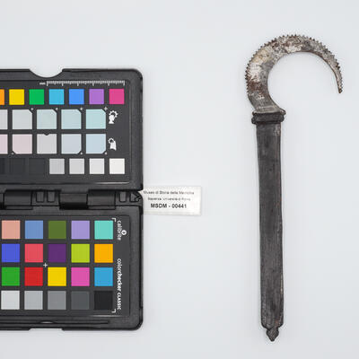 sega piccola 00441 photo