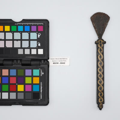 sega piccola 00442 photo