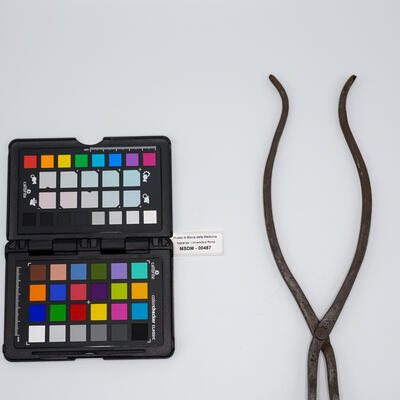 pinza chirurgica 00487 photo