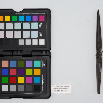 punteruolo doppio 00503 photo