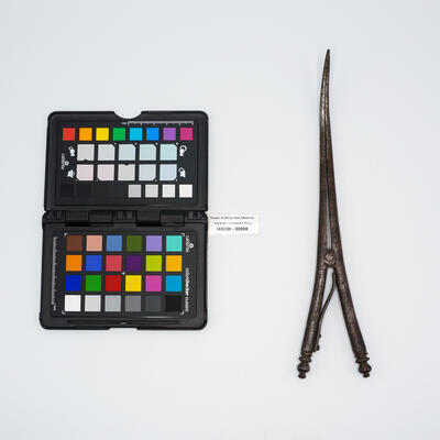 pinza anserina 00508 photo