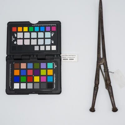 pinza anserina 00509 photo