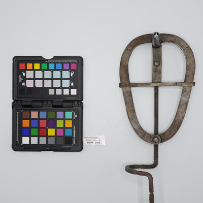 speculo vaginale 00518 photo