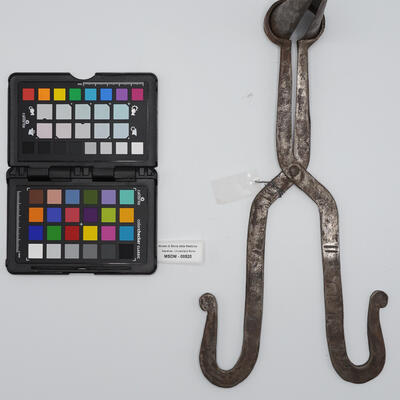 speculo vaginale 00520 photo