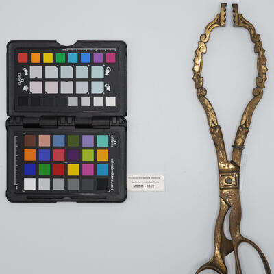 pinza uterina 00521 photo