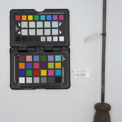 speculo vaginale 00522 photo