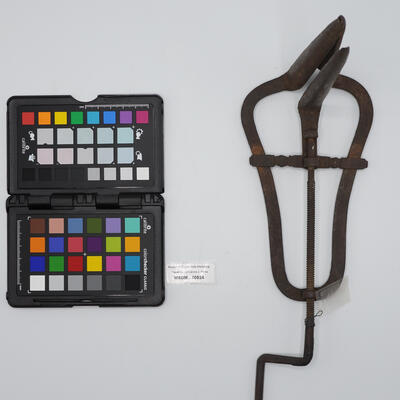 specolo vaginale 00524 photo