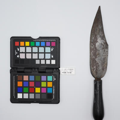 coltello anatomico 00529 photo