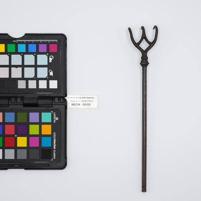 uncino a tre denti 00533 photo