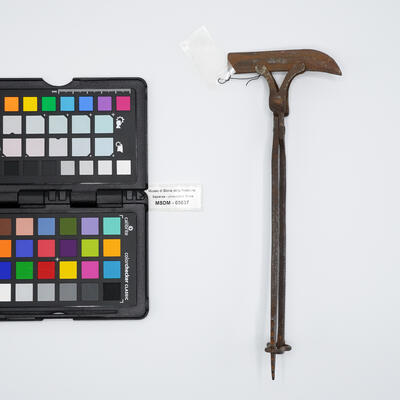 pinza chirurgica 00537 photo