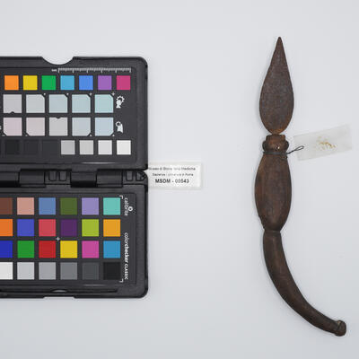 coltello chirurgico 00543 photo