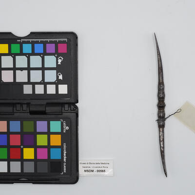 scollaperiostio 00565 photo