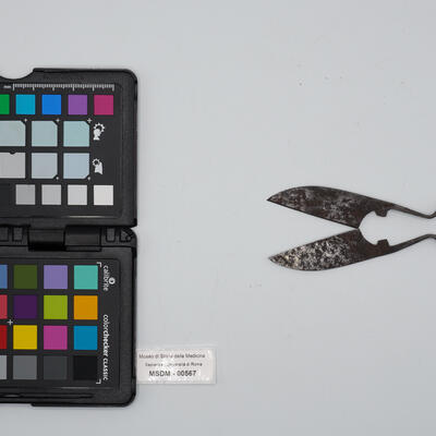 castratore 00567 photo