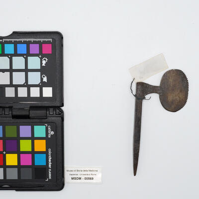 sega piccola 00569 photo