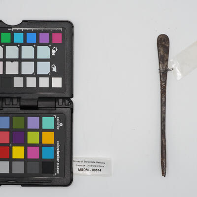 alfonsino per estrazione 00574 photo