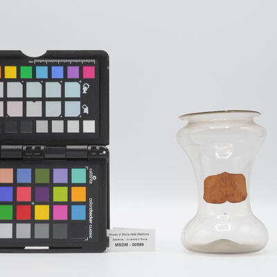 albarello rastremato 00599 photo