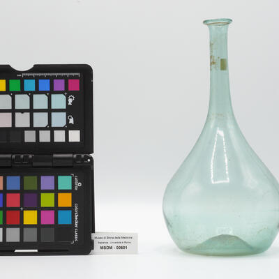 cipolla fiorentina 00601 photo