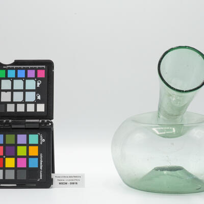 pappagallo da uomo 00616 photo