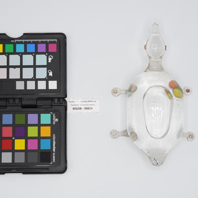 termometro a rana 00624 photo