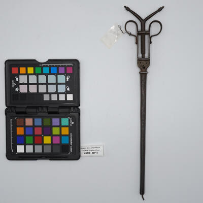 alfonsino per estrazione 00714 photo