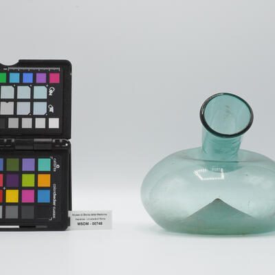 pappagallo da uomo 00748 photo