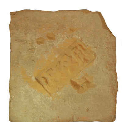 Mattone M74_335 photo