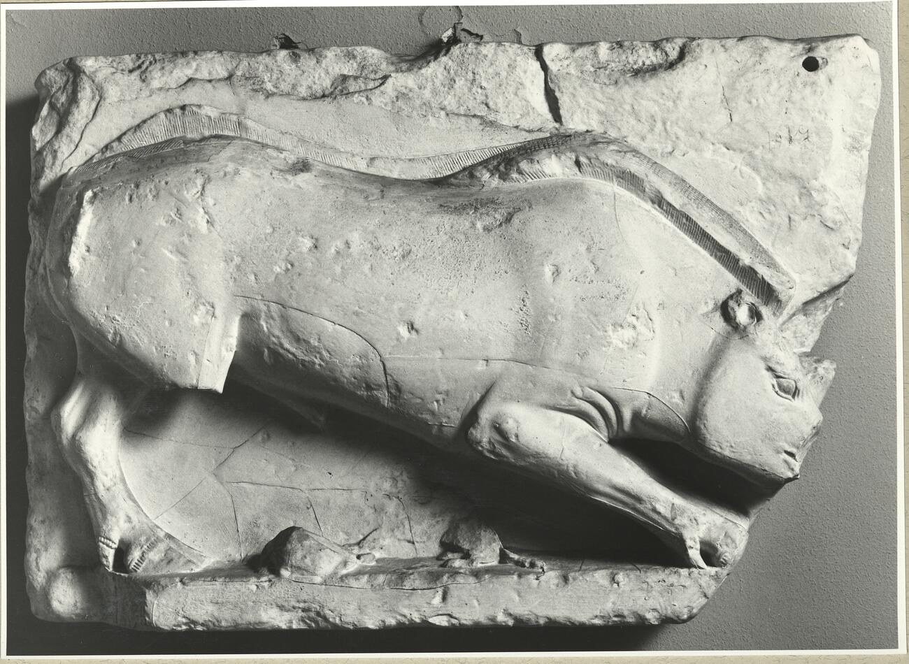 calco di scultura Metope del Thesauros dei Sicioni a Delfi 108 photo