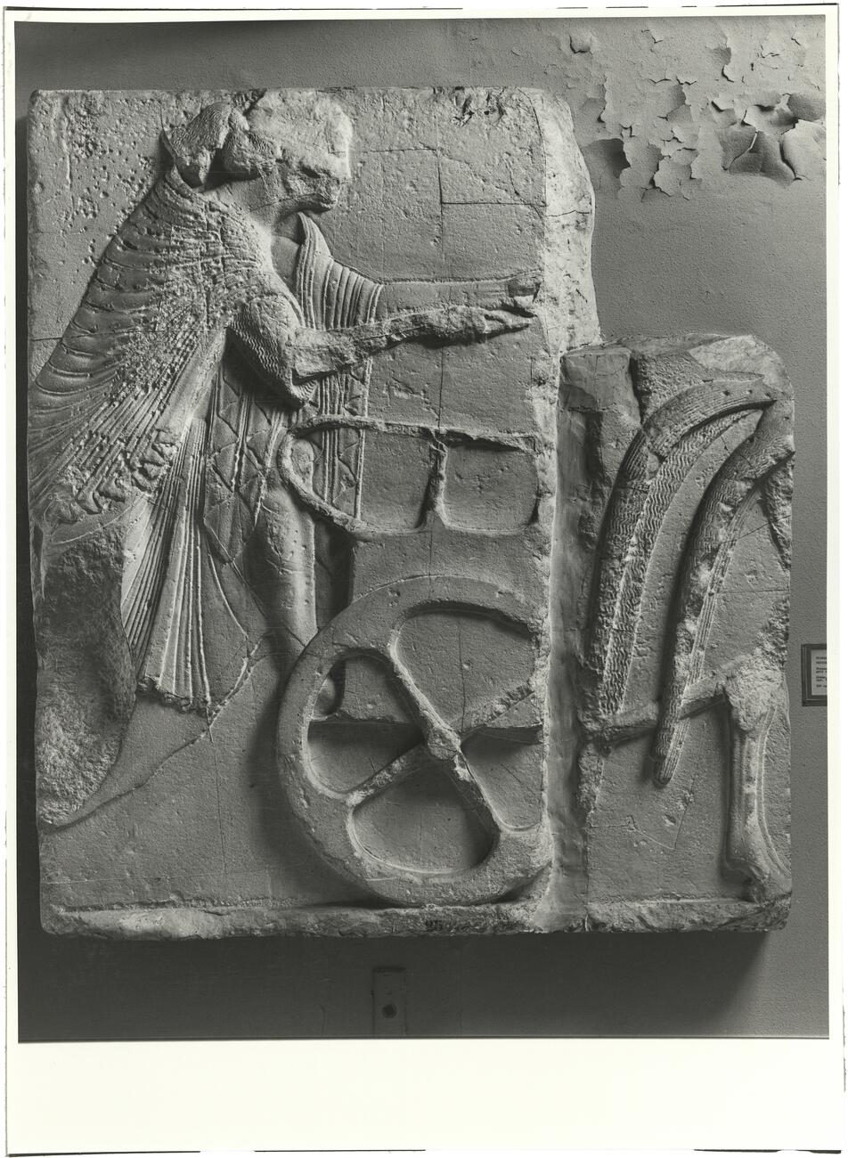 calco Rilievo con auriga 120 photo