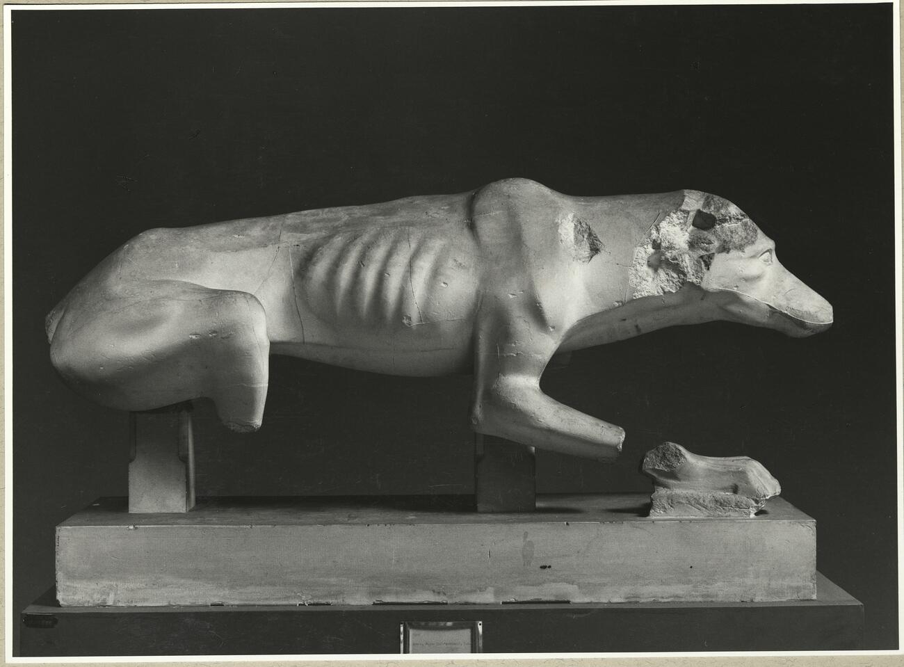 calco di scultura Statua di cane 127 photo